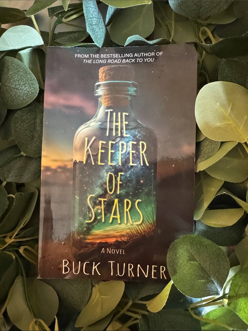 The Keeper of Stars by Buck Turner